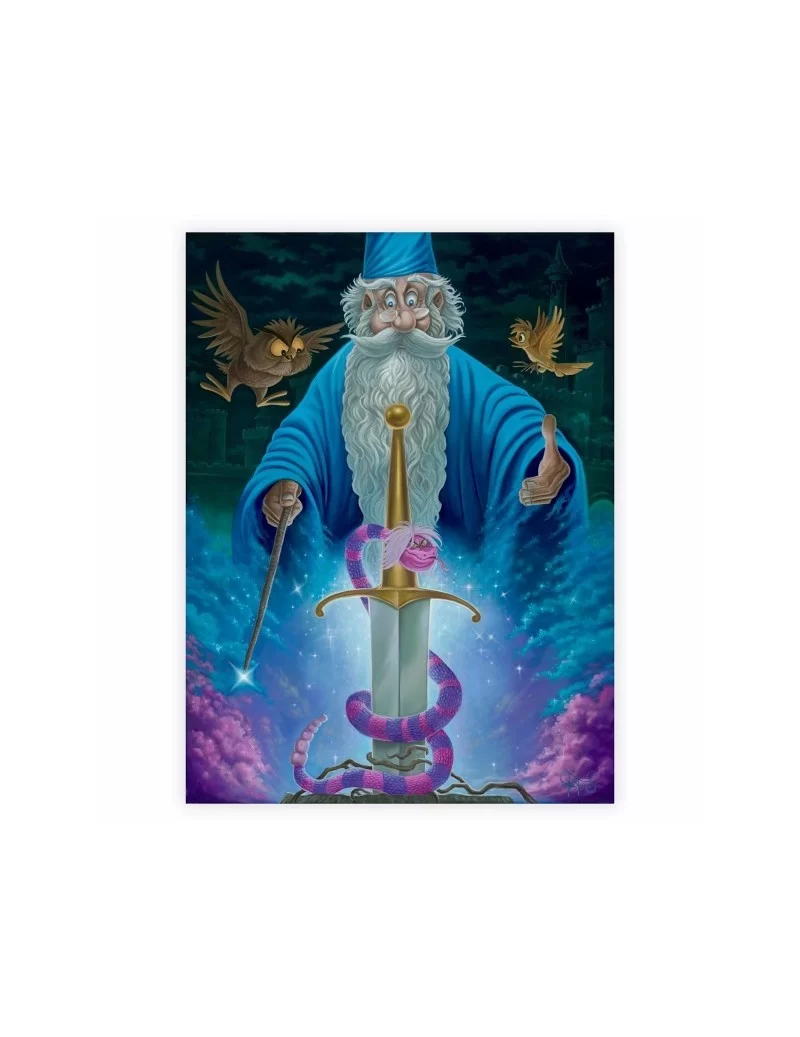 The Sword in the Stone ''Merlin's Domain'' Giclée by Jared Franco – Limited Edition $42.00 HOME DECOR
