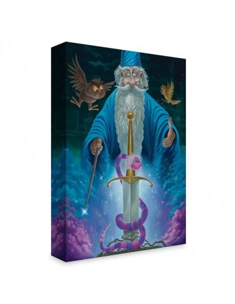The Sword in the Stone ''Merlin's Domain'' Giclée by Jared Franco – Limited Edition $42.00 HOME DECOR