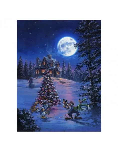 ''Winter Lights'' Gallery Wrapped Canvas by Rodel Gonzalez – Limited Edition $40.80 HOME DECOR