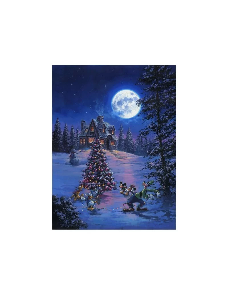 ''Winter Lights'' Gallery Wrapped Canvas by Rodel Gonzalez – Limited Edition $40.80 HOME DECOR