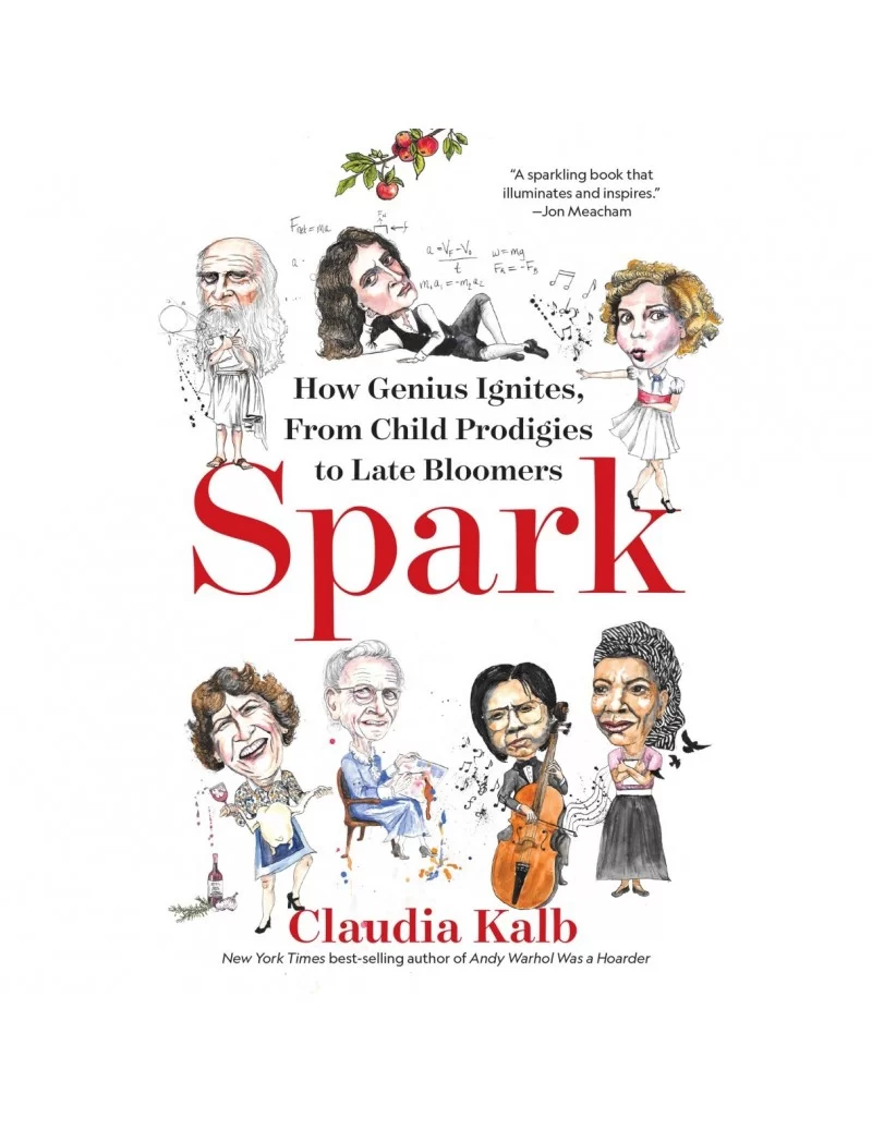 Spark: How Genius Ignites from Child Prodigies to Late Bloomers Book $8.21 BOOKS